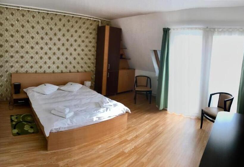 Fotos del hotel Aparthotel Zorilor:  6