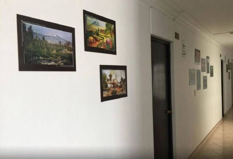 Fotos del hotel Ayenda Del Sur:  2