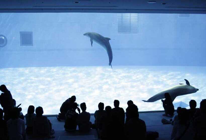 Fotos del hotel Meitetsu Inn Nagoyaeki Shinkansenguchi:  8