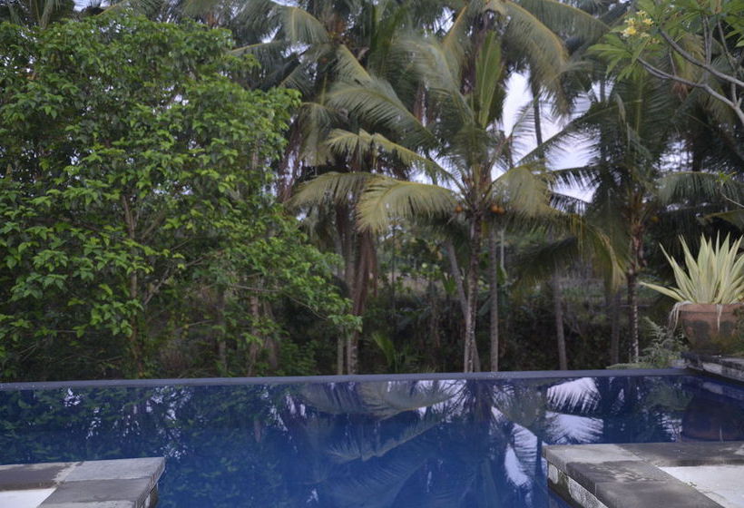 Fotos del hotel The Cory Villa:  2