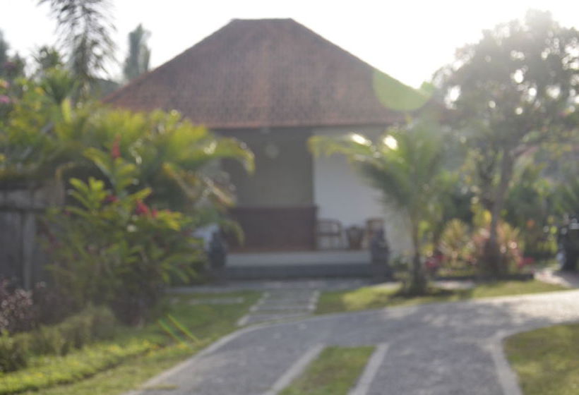 Fotos del hotel The Cory Villa:  16