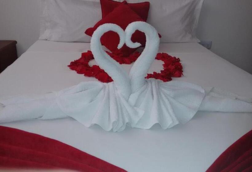 Fotos del hotel Mintaka  + Lounge:  4