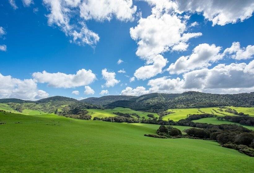 Fotos del hotel Catlins Mohua Park:  9