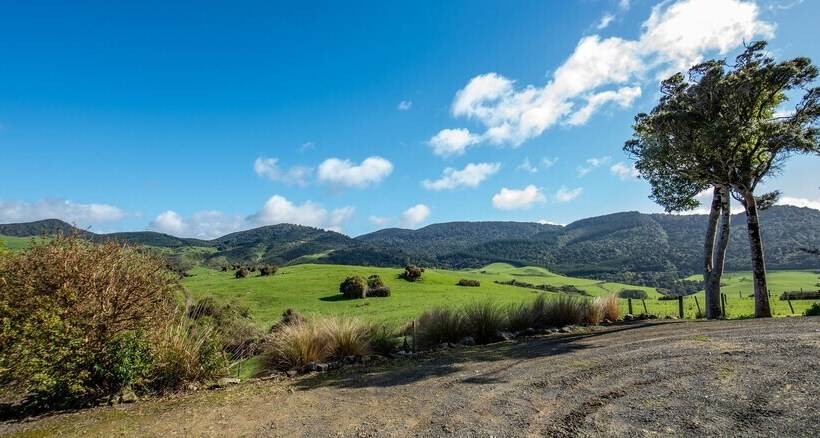 Fotos del hotel Catlins Mohua Park:  2