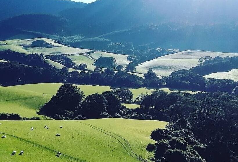 Fotos del hotel Catlins Mohua Park:  6