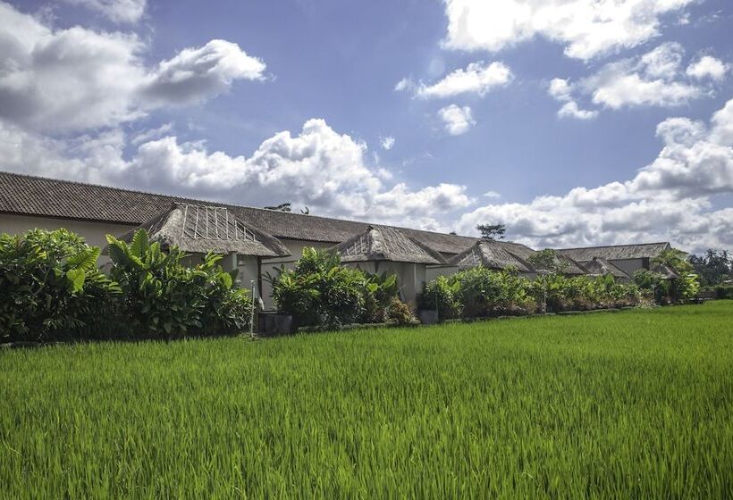 Fotos del hotel Alam Sembuwuk Resort:  5