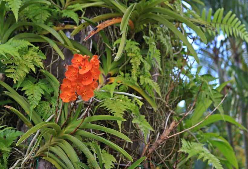 Fotos del hotel Royal Lee Resort & Spa:  7