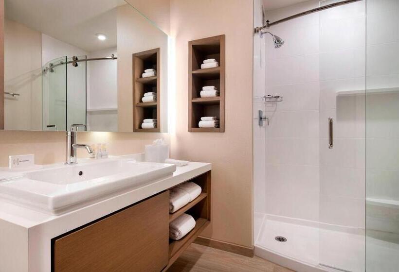 Fotos del hotel Courtyard By Marriott Phoenix Downtown:  8