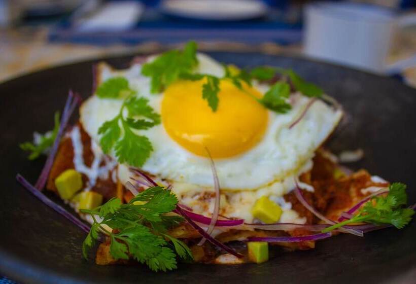 Fotos del hotel Delfina Boutique:  17