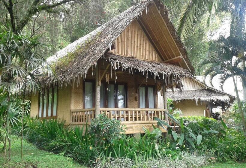 Fotos del hotel Kampung Sampireun Resort & Spa:  7