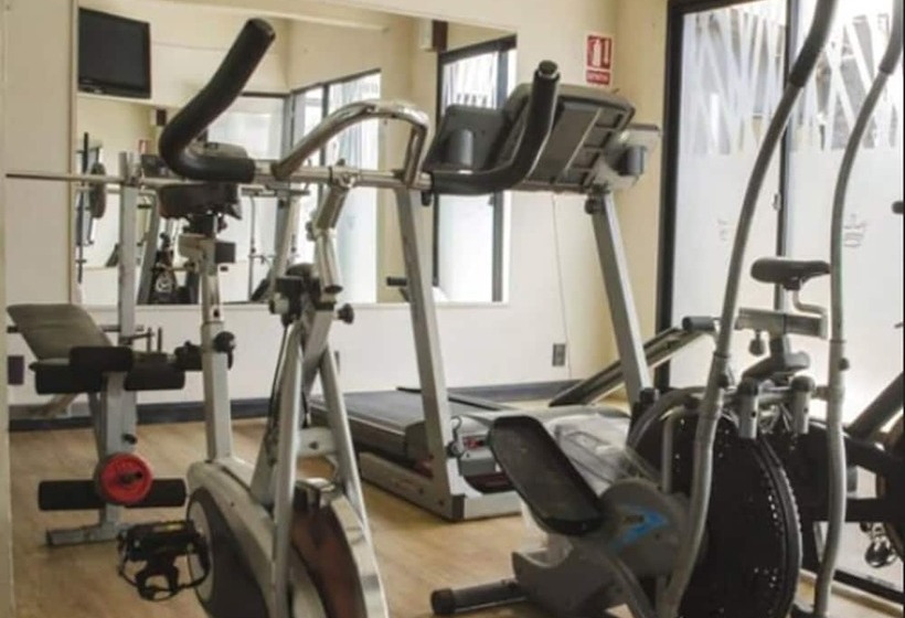 Fotos del hotel Rex:  3