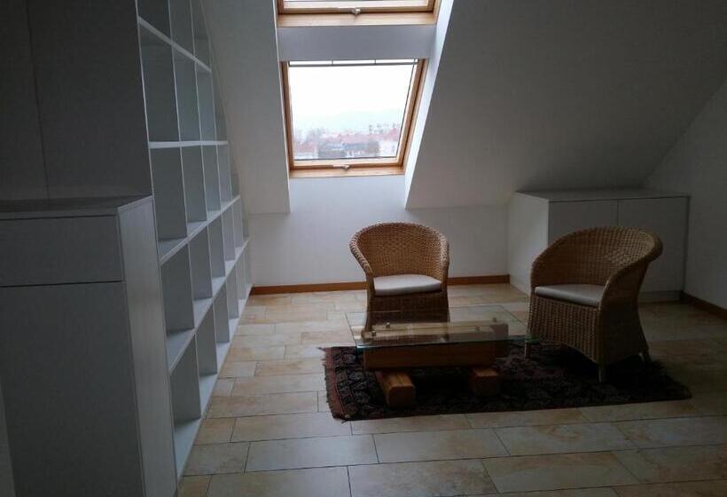 Fotos del hotel Aton:  15