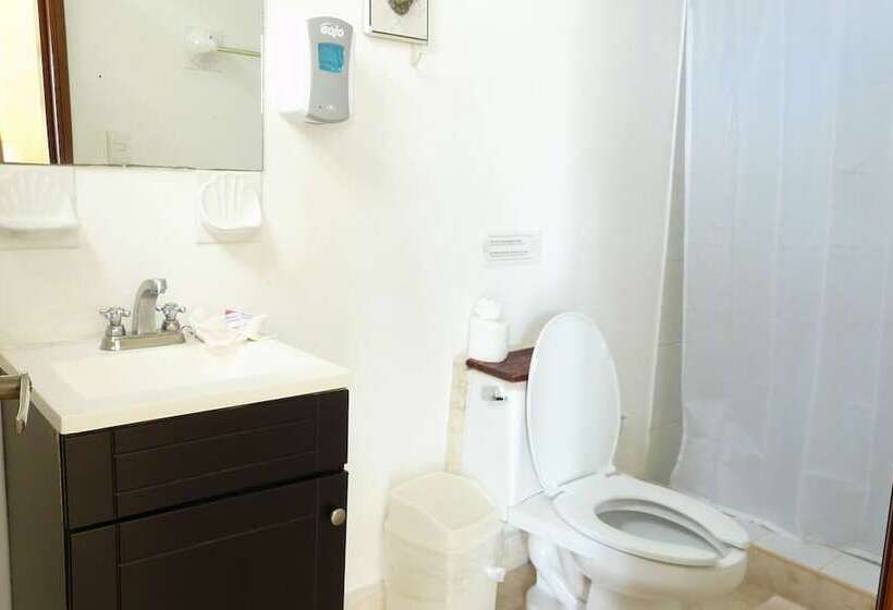 Fotos del hotel Villa Del Mar:  4