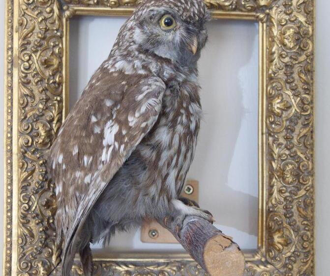 Fotos del hotel Bergland Hotel - Adults Only:  6