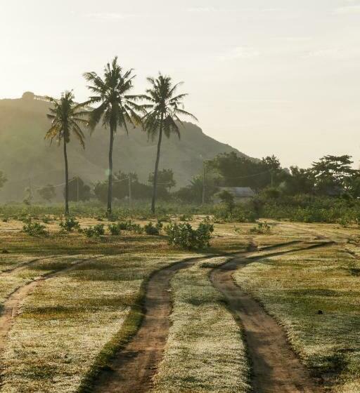 Fotos del hotel Owa Lodge:  16