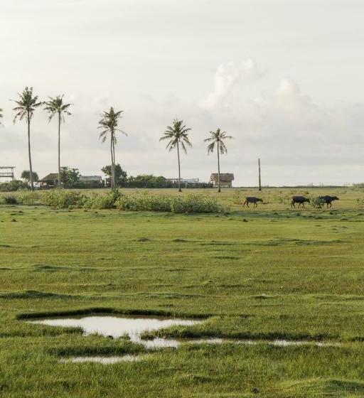 Fotos del hotel Owa Lodge:  19