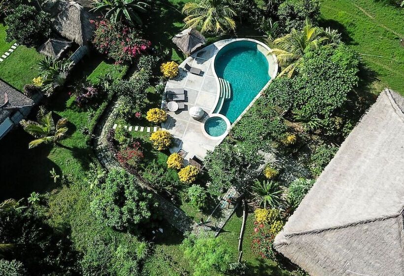 Fotos del hotel Owa Lodge:  8