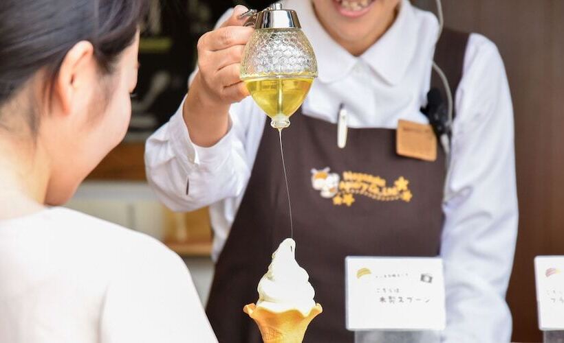 Fotos del hotel Hamanako Lakesideplaza:  25