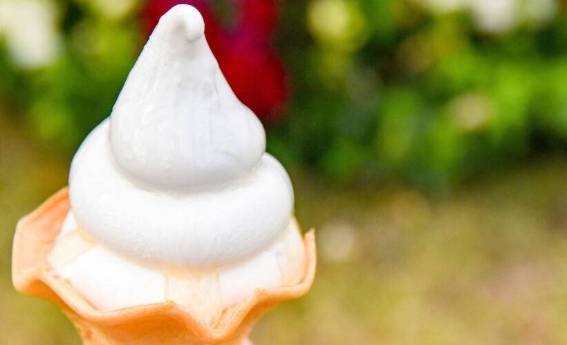 Fotos del hotel Hamanako Lakesideplaza:  10