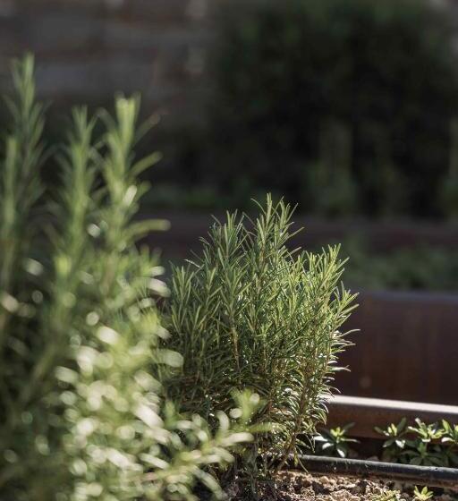 Fotos del hotel Gasthof Kohlern-colle:  24