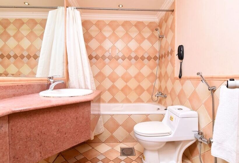 Fotos del hotel Capital O 419 Al Safeer:  8