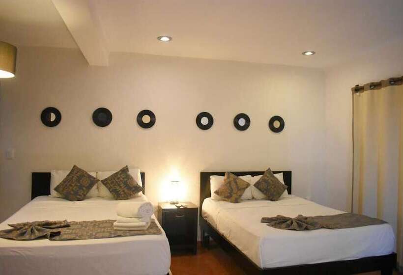 Fotos del hotel Isla Caracol:  11