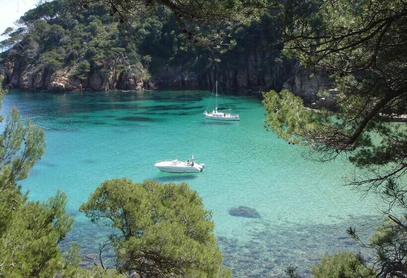 Fotos del hotel L'aixart Aiguablava:  14