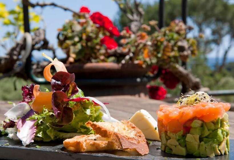 Fotos del hotel L'aixart Aiguablava:  23