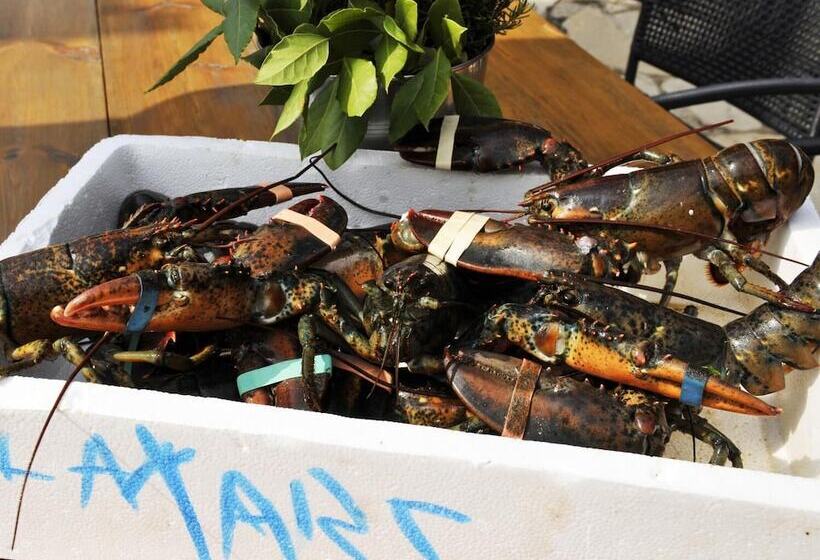 Fotos del hotel L'aixart Aiguablava:  5