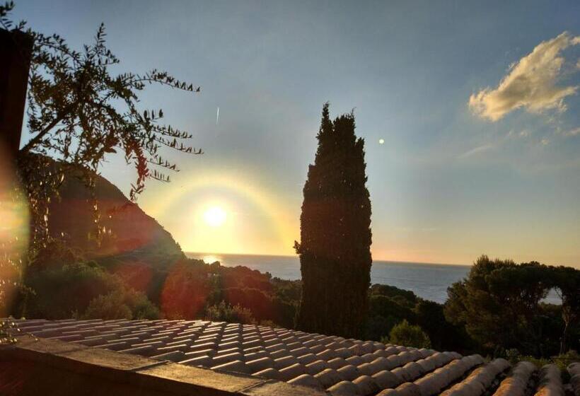 Fotos del hotel L'aixart Aiguablava:  11