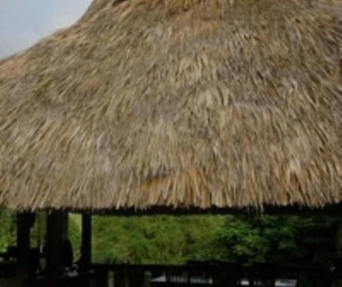 Fotos del hotel Paraiso Escondido:  21