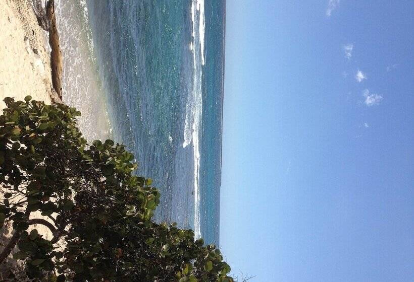 Fotos del hotel Sol Azul:  7