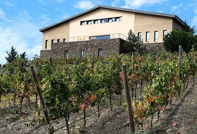Fotos del hotel -celler Buil & Gine:  13