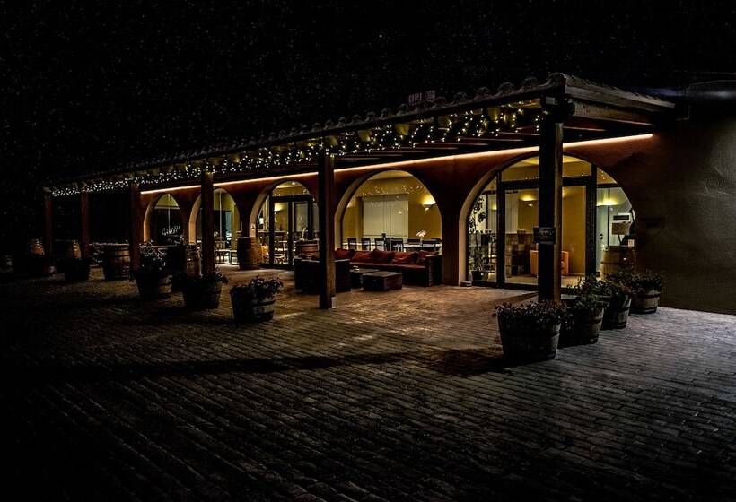 Fotos del hotel -celler Buil & Gine:  15