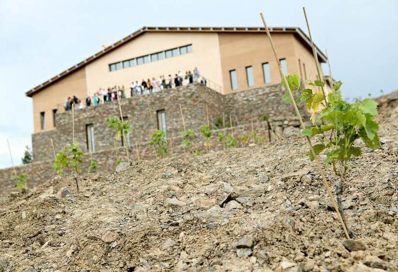 Fotos del hotel -celler Buil & Gine:  12