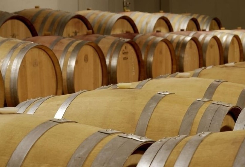 Fotos del hotel -celler Buil & Gine:  7