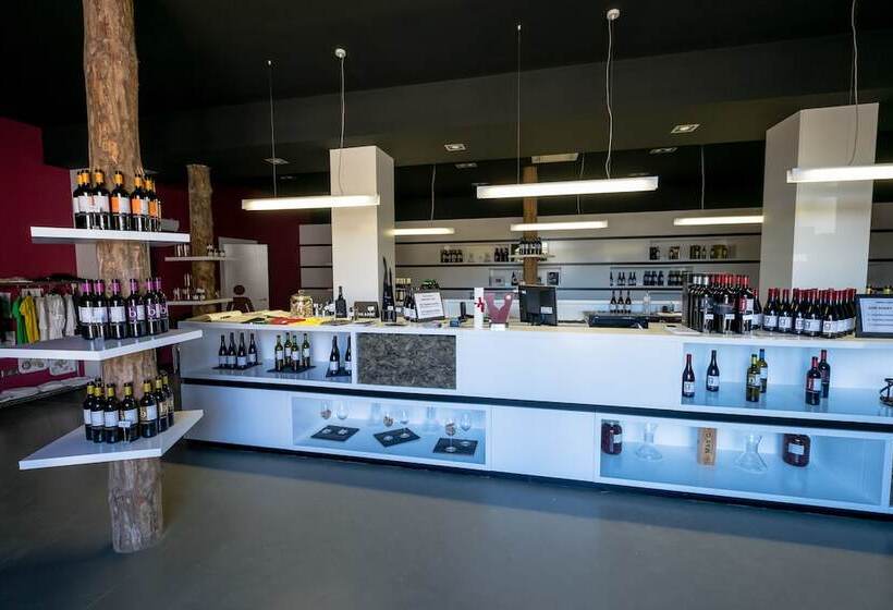 Fotos del hotel -celler Buil & Gine:  9