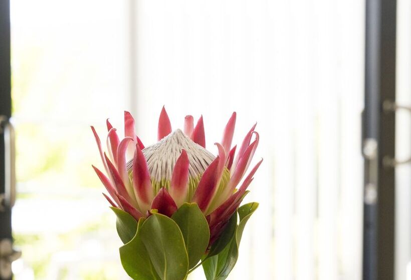 Fotos del hotel Thebloem Guest Suites:  18