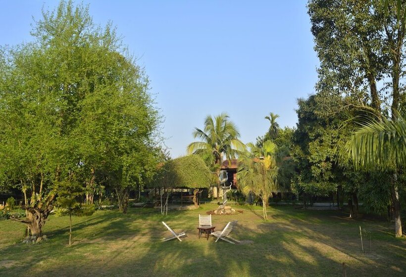 Fotos del hotel Jungle World Resort:  3