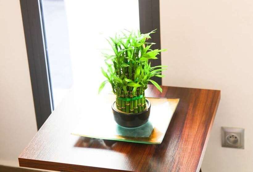 Fotos del hotel Smarts:  10