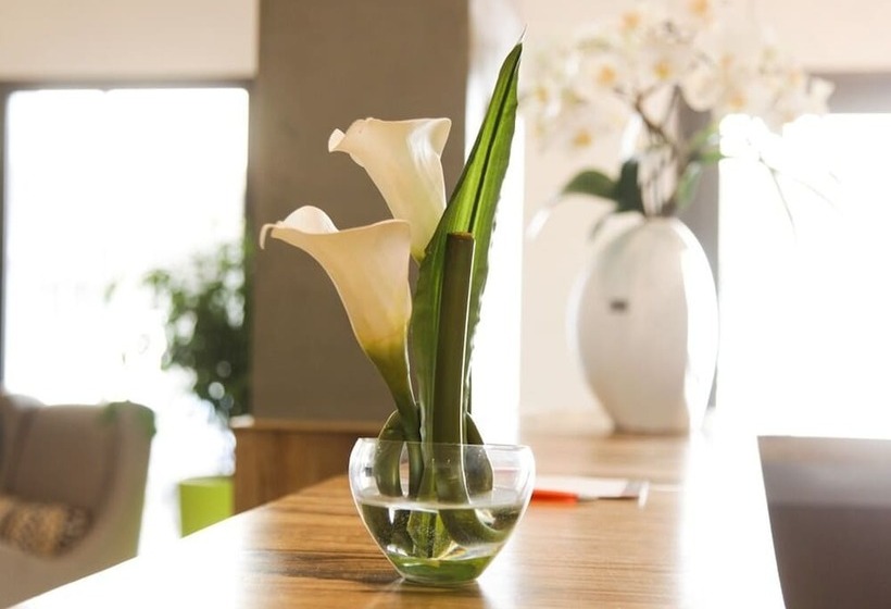 Fotos del hotel Smarts:  13