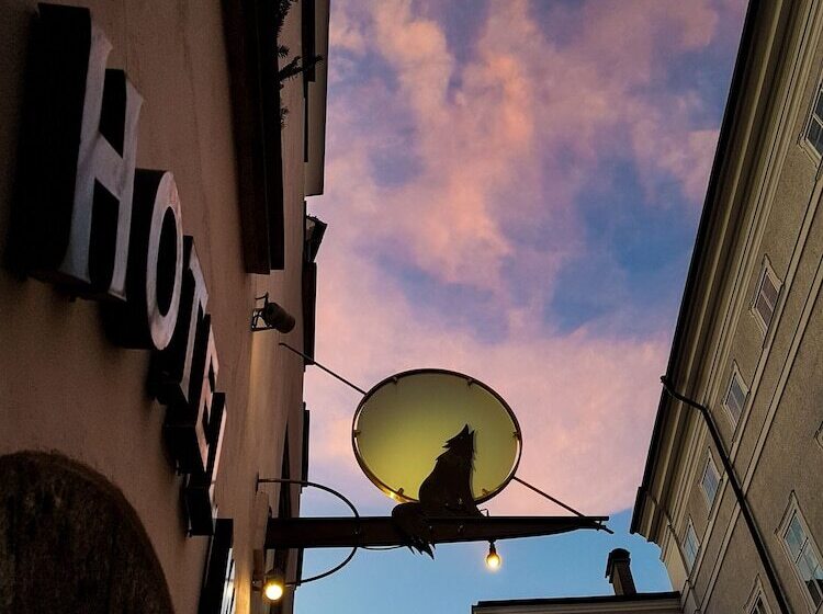 Fotos del hotel Wolf:  4