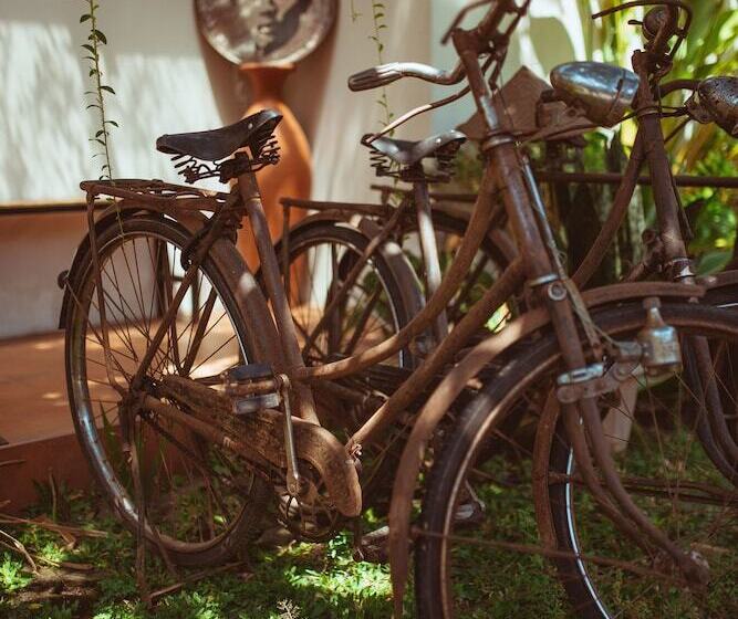 Fotos del hotel House Of Moedjito:  9