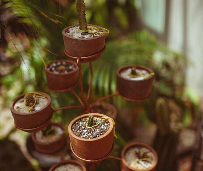 Fotos del hotel House Of Moedjito:  14