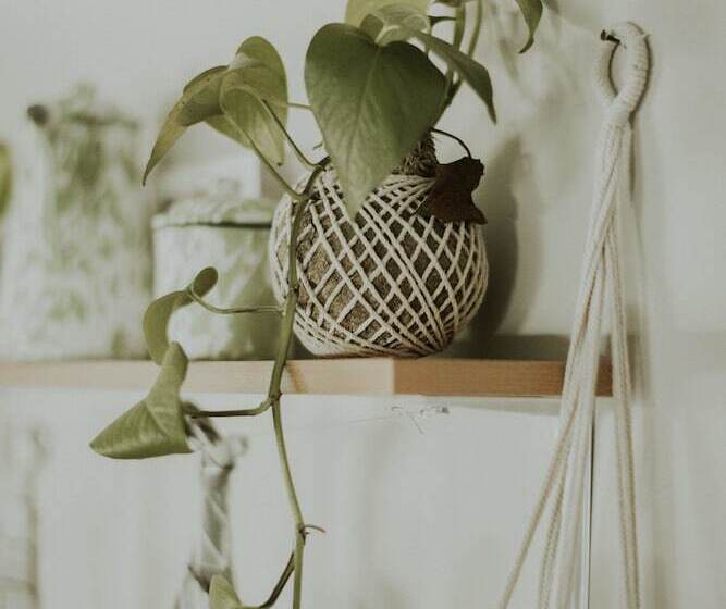 Fotos del hotel House Of Moedjito:  24