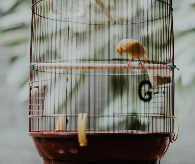 Fotos del hotel House Of Moedjito:  23