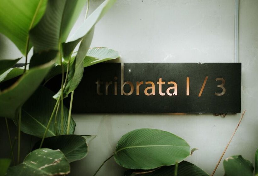 Fotos del hotel House Of Moedjito:  17