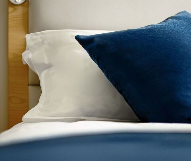 Fotos del hotel Lyz Business:  19