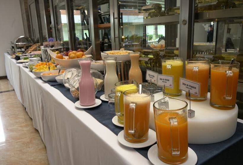 Fotos del hotel Lyz Business:  25