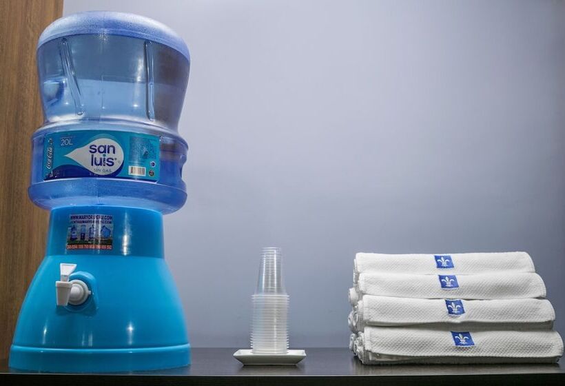 Fotos del hotel Lyz Business:  24